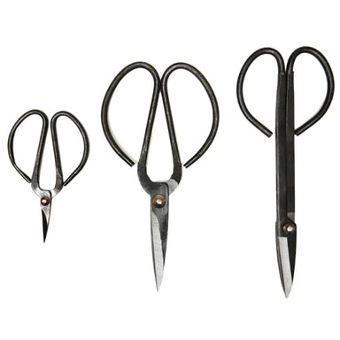 Garden Scissor Set: Essential Patio Tools for Plant Pruning