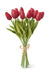 13" Red Real Touch Mini Tulip Bundle – 12 Stems