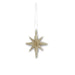 2.5" Champagne Glitter Star Ornament – 9 Point Sparkle