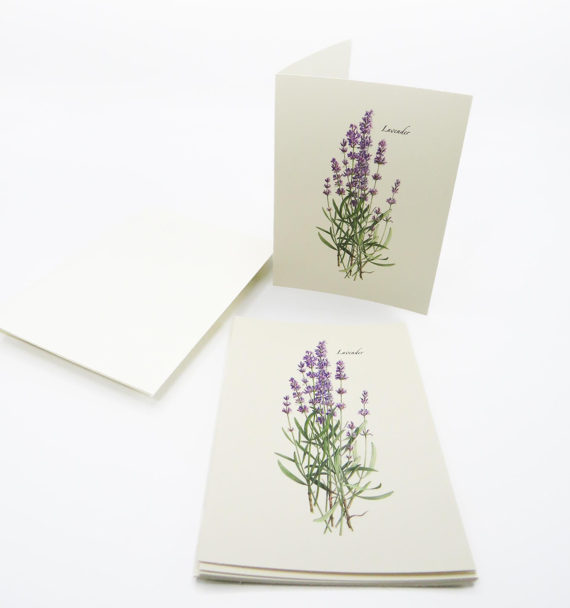 E.S.+W. Boxed Notes - Lavender