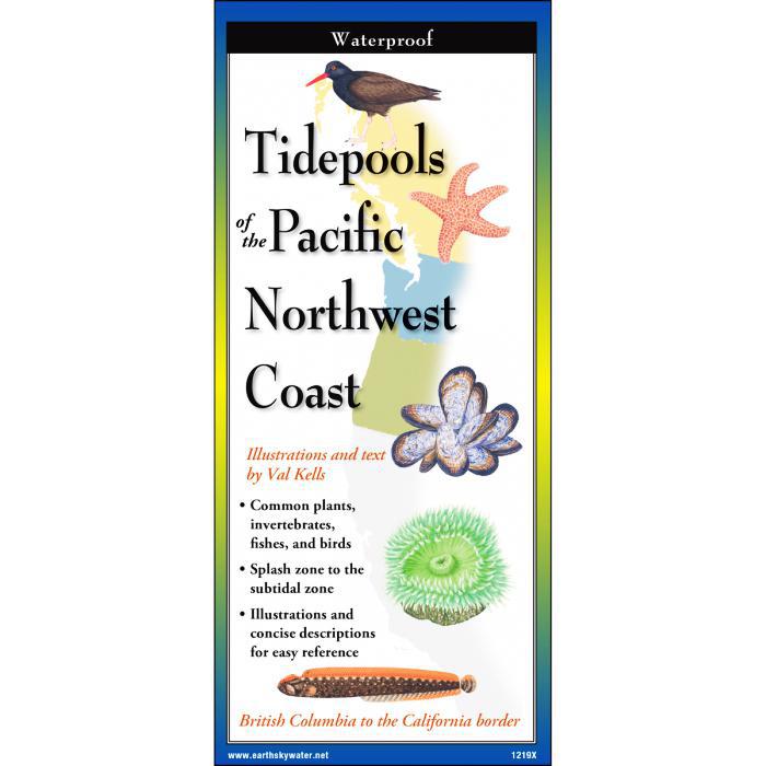 Tidepools of the Pacific Northwest Coast Guide