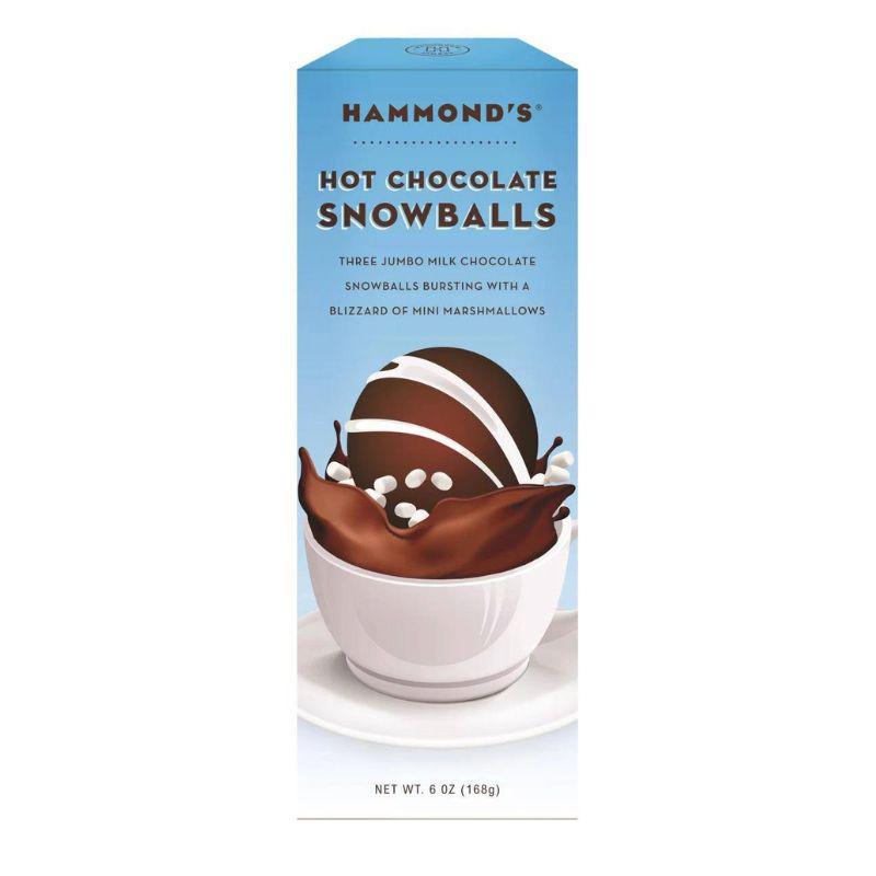 Hot Chocolate Snowballs w/Mini Marshmallows - CB14612