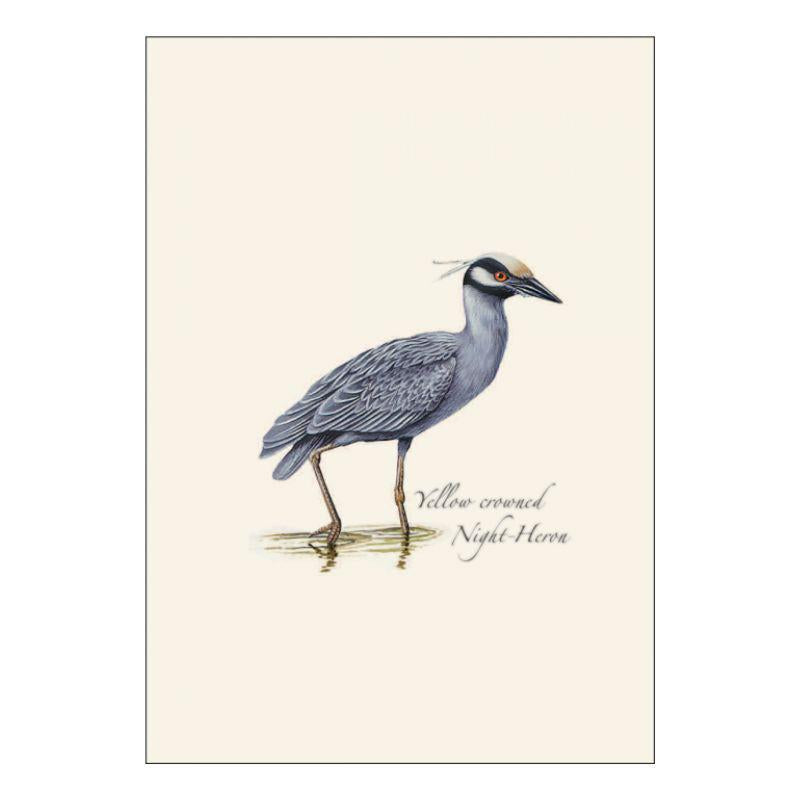 E.S.+W. Boxed Notes - Heron Assortment