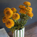 Bouquet of yellow flowers in a striped vase on a wooden surface with a blurred background