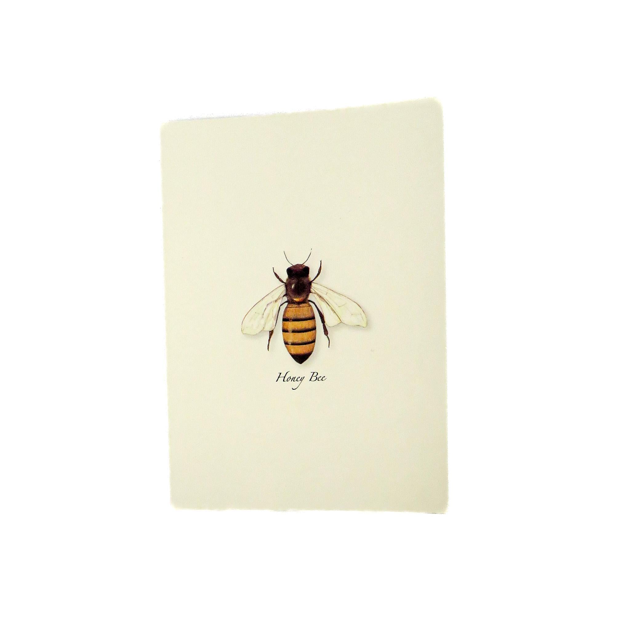 E.S.+W. Boxed Notes - Honey Bee