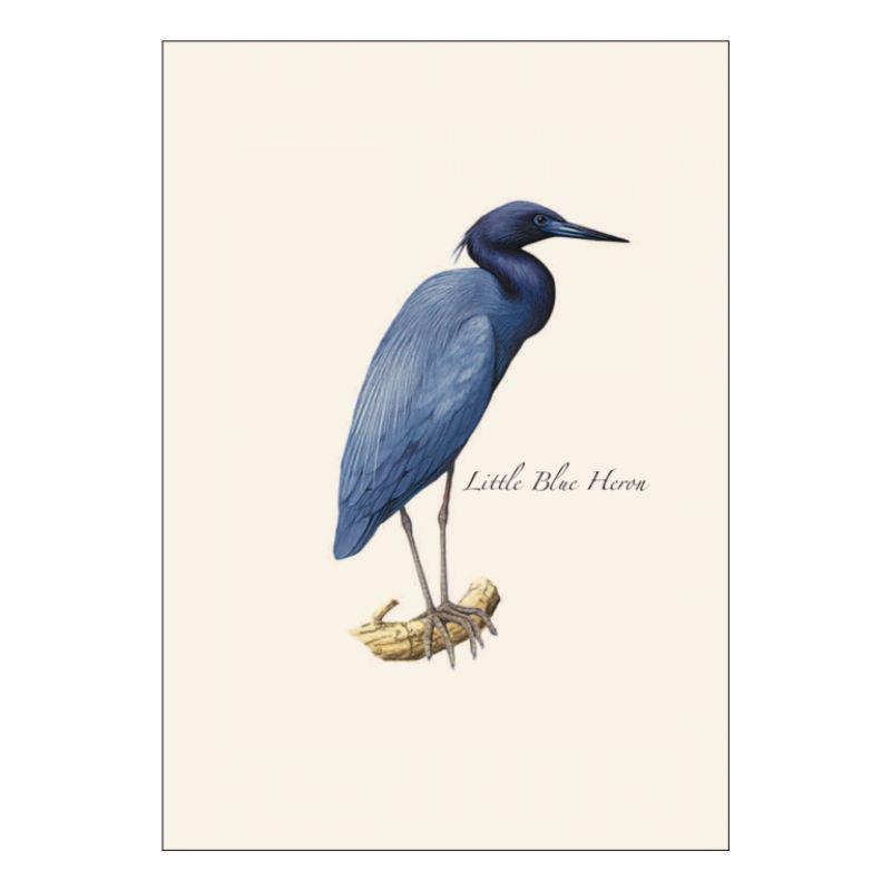 E.S.+W. Boxed Notes - Heron Assortment