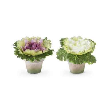 Assorted 6" Cabbages in Pots – Realistic Faux Decor (2 Styles)