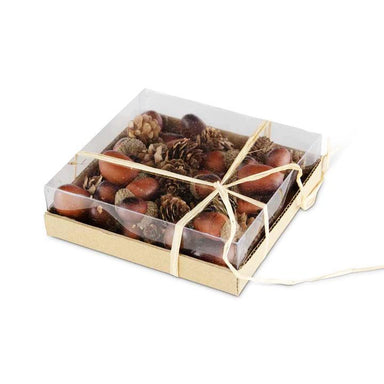 Assorted Acorns Box - Nature-Inspired Decor
