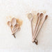 Set of wooden spoons with a small pile of quinoa on a light background