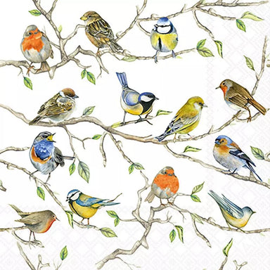 Pattern of colorful birds on branches with leaves on a white background