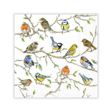Birds Meeting Cocktail Napkins – 20 Pack