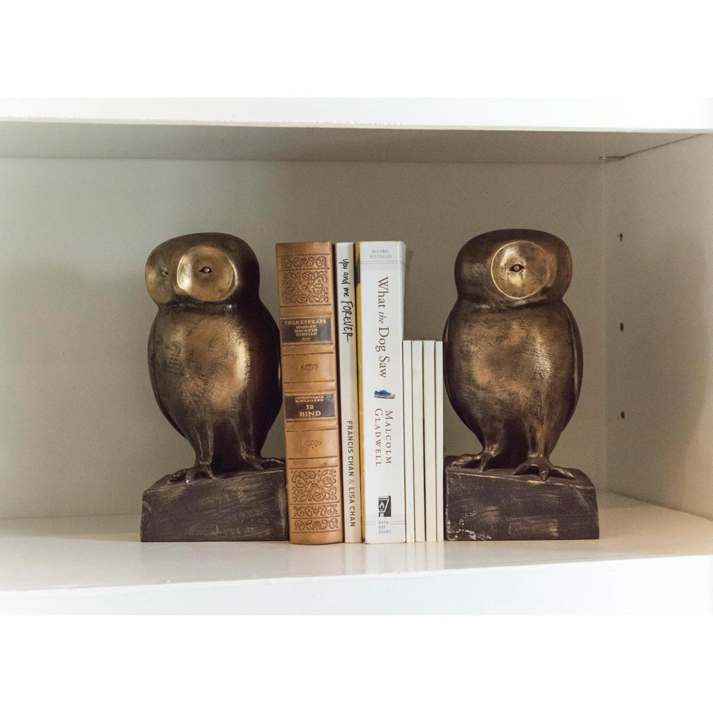 Bronze owl bookends on a shelf with books