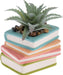 Book Lover Faux Succulent Planter – Ceramic Mini Decor
