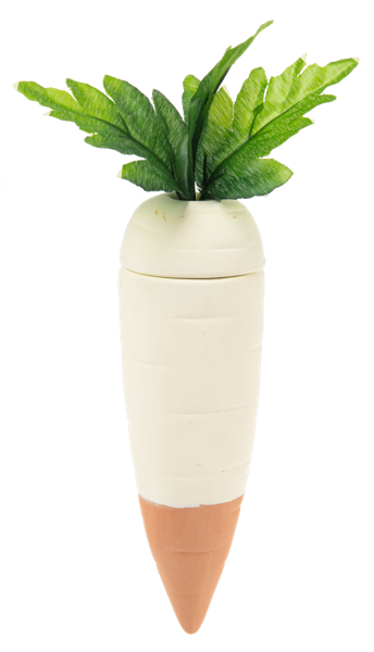 Carrot Watering Spike