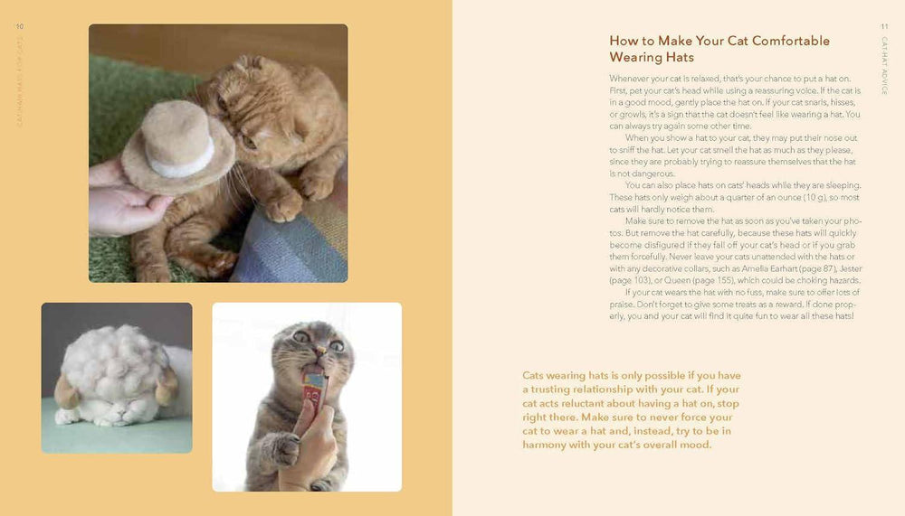 Cat-Hair Hats for Cats – Creative DIY Feline Headwear