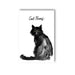 Cat Poems Paperback – Celebrating Felines Through Poetry