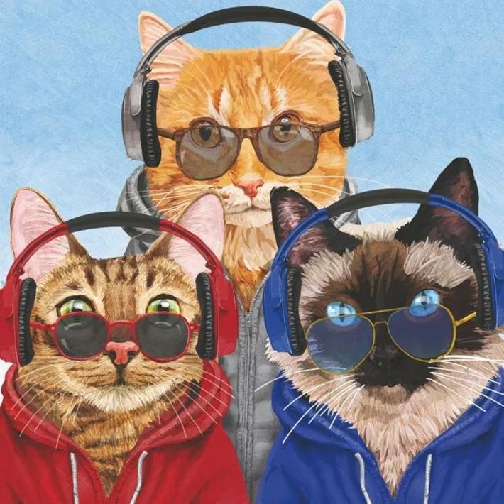Three cats wearing headphones, sunglasses, and colorful outfits on a blue background
