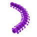 Colorful Crawlies: Squishy, Stretchy purple Bug 