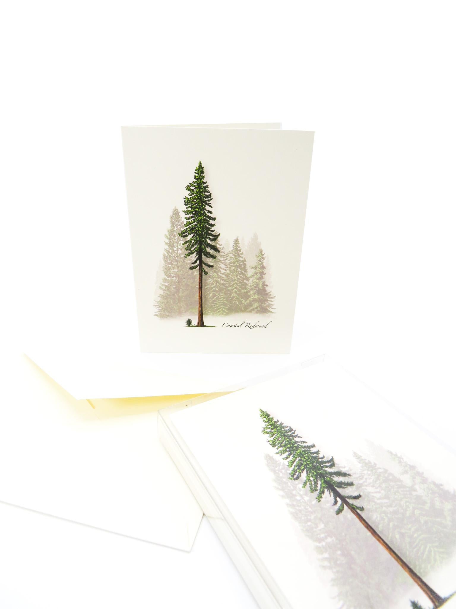 Costal Redwood card