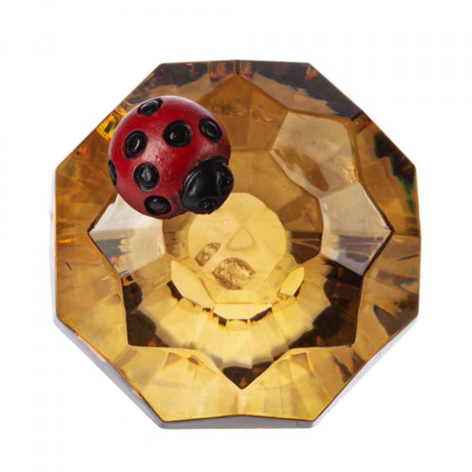 Crystal Expressions ladybug on Magical Garden Mushroom: Whimsical Acrylic Decoration