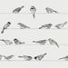 Pattern of black and white birds on a light gray background
