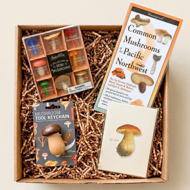 Box of mushroom-themed items including a keychain, cards, and a book on mushrooms.