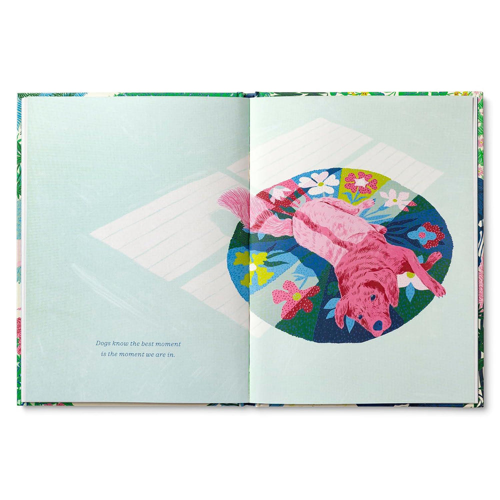 Dogs Just Know – A Heartwarming Illustrated Gift Book