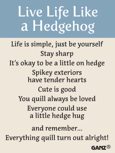 Ganz Tokens Two Hedgehog Charm – Heartwarming Story Card