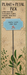 Plant stake with decorative sign on a cardboard backing with floral designs