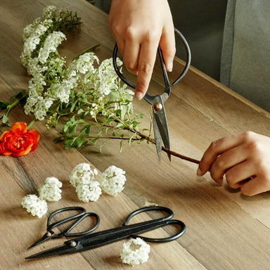 Garden Scissor Set: Essential Patio Tools 
