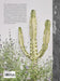 Book cover with cactus and text on a light gray background