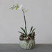 Decorative vase with three frog sculptures and a white orchid on a gray surface.