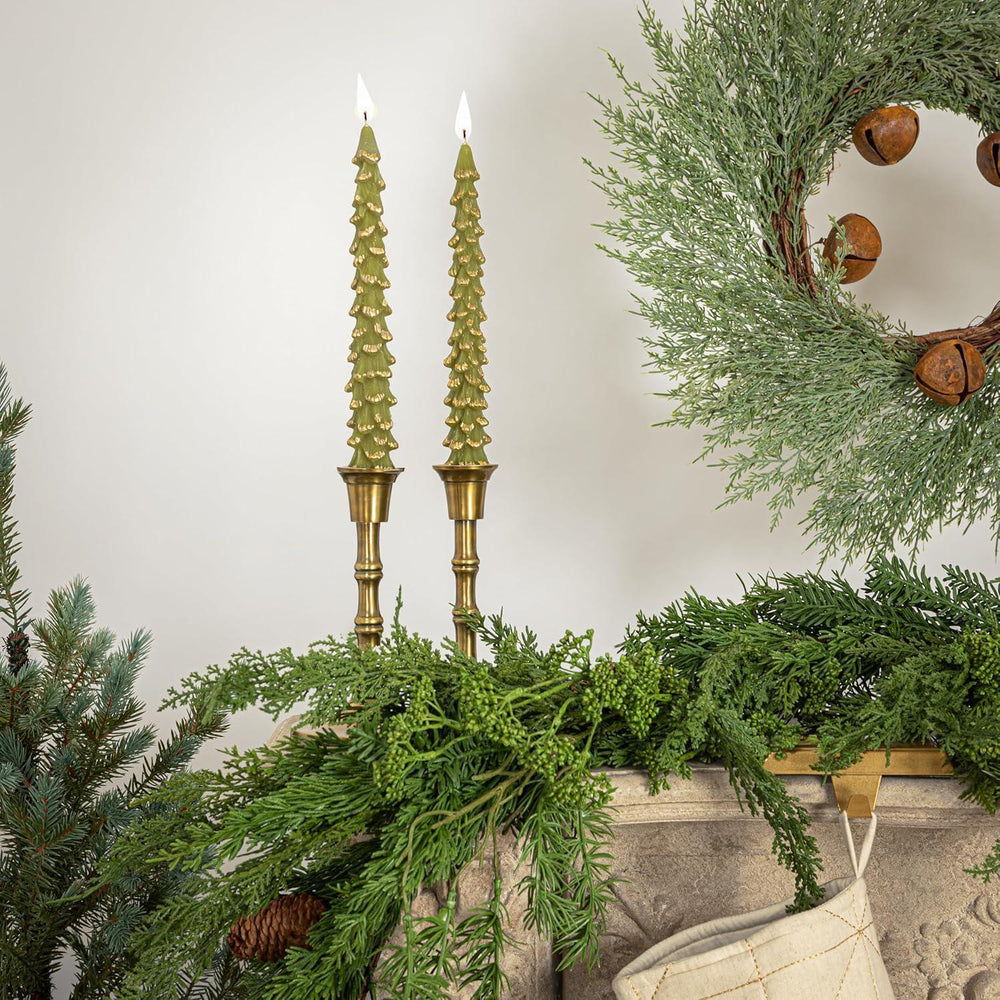 Golden-Tipped Evergreen Tree Taper Candles – Boxed Set of 2