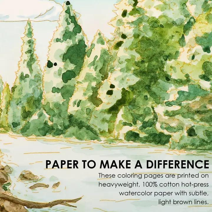 Watercolor illustration of a forest scene with text about paper quality.
