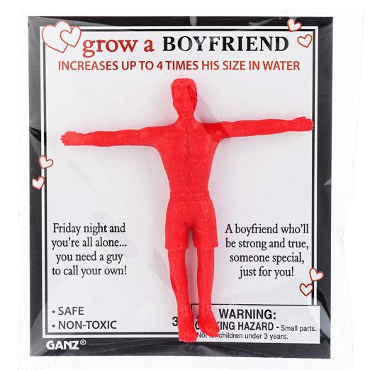 Grow a Boyfriend - Valentine's Day Novelty Gag Gift