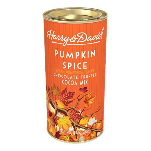 Can of Harry & David Pumpkin Spice Chocolate Truffle Cocoa Mix on a white background