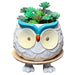 Ceramic owl planter with succulents on a white background