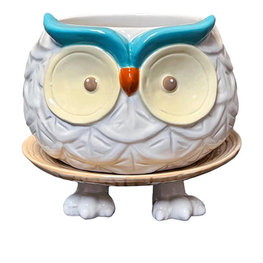 Hoots the Owl Footsie Planter – Charming Ceramic Décor