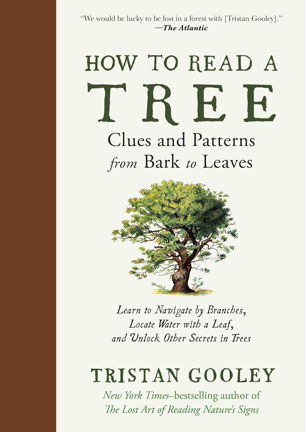 How to Read a Tree – Clues & Patterns from Bark to Leaves — Port Gamble ...