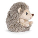 Plush toy hedgehog with a white background