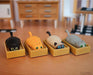 Kitties in Containers Racers – Pull-Back Toy Cats