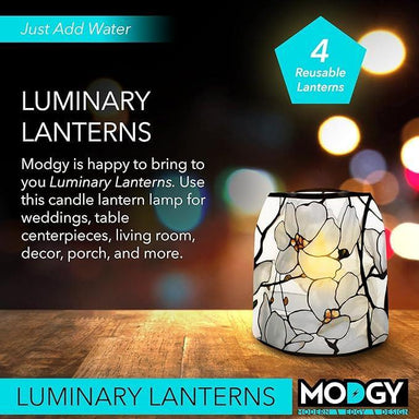 Luminary lantern on a wooden surface with blurred lights in the background, featuring Modgy branding.