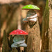 Two garden YOGA figurines with mushroom hats on a wooden background