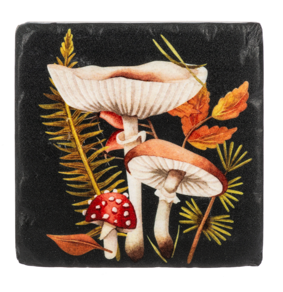 Decorative coaster with mushrooms and leaves on a black background