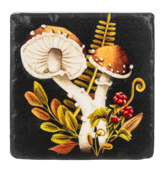 Decorative coaster with mushrooms and foliage on a black background