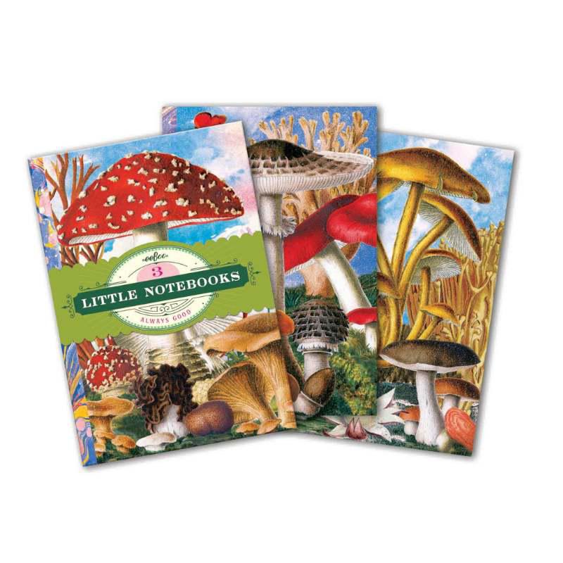 Three colorful notebooks with mushroom designs on a white background