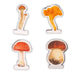 Four different types of mushrooms on a white background