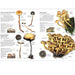 Mushrooms Book:  Guide to Wild Fungi Foraging page example