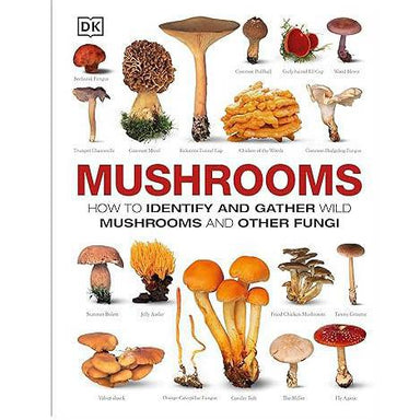 Mushrooms: Your Comprehensive Guide to Wild Fungi Foraging