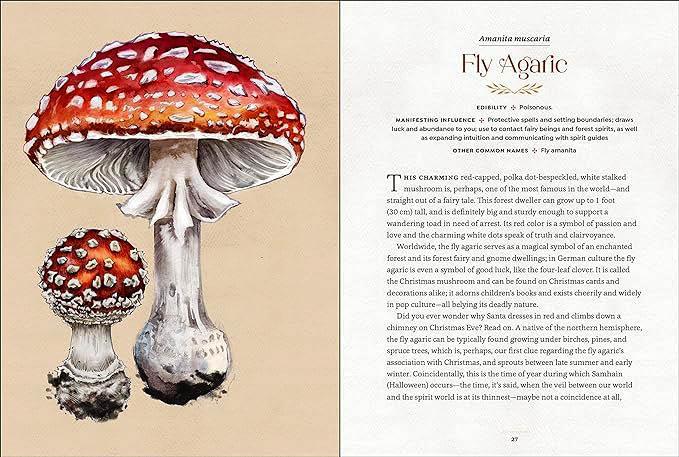 Mystical Mushrooms Book page 27